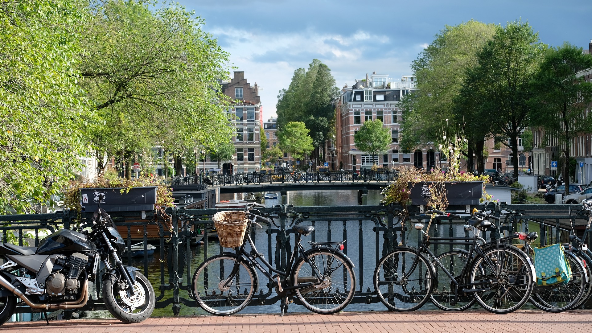 airbnb statistics by city amsterdam