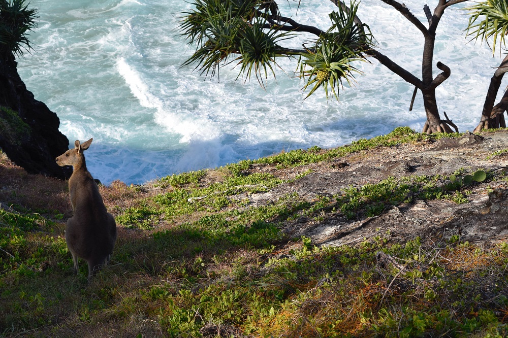 Airbnb Kangaroo Island