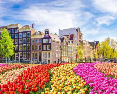 The Profitable Potential of Airbnb in Amsterdam from Hosts' Point of View