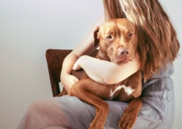 Understanding Service Animals, Emotional Support Animals, and Pets on Airbnb